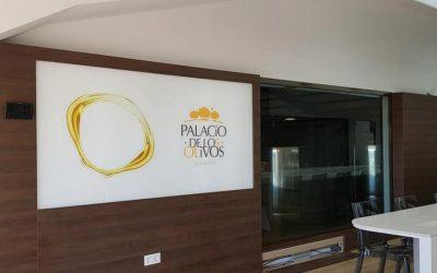 El aceite número uno del mundo tiene acento español: Palacio de los Olivos
