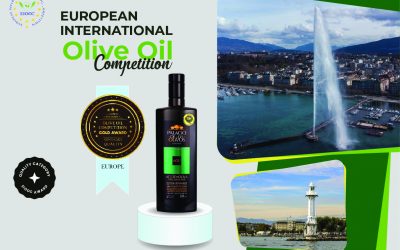 European International Olive Oil Competition Palacio de los olivos 2024
