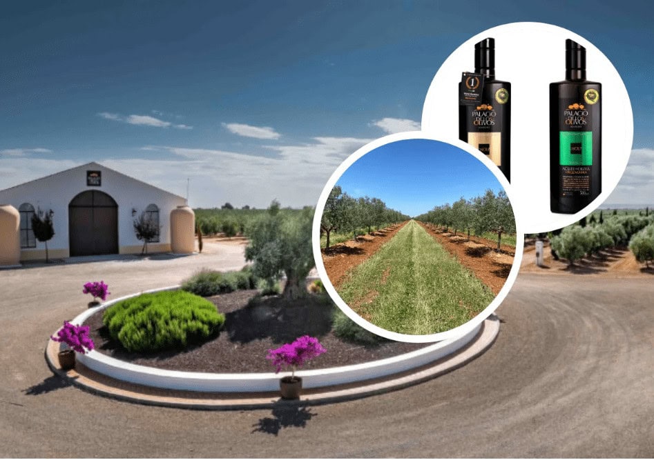 El Mejor aceite de oliva picual del mundo por octavo año consecutivo se hace en Ciudad Real